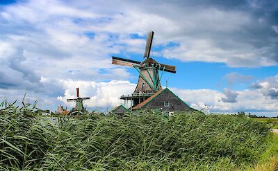 Windmills to see in the Netherlands! Unsplash:Cynthia De Luna