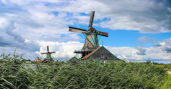 Windmills to see in the Netherlands! Unsplash:Cynthia De Luna