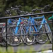 Bikes onboard | Feniks | Bike & Boat Tour