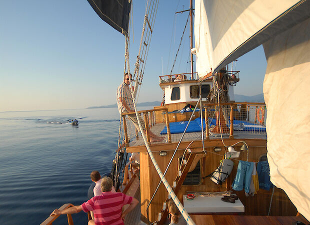 Panagiota | Bike & Boat Tour