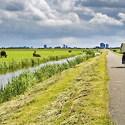 Cycling the bike paths of Holland.