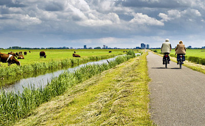 Cycling the bike paths of Holland.