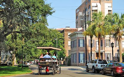 Horse-drawn carriage rides in Savannah, Georgia. Flickr:faungg's photos