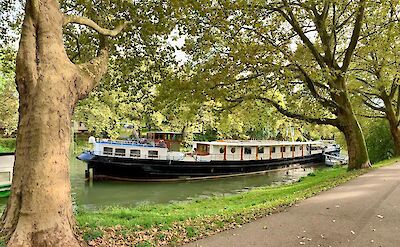 Merlijn in Haarlem | Bike & Boat Tour