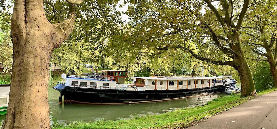 Merlijn in Haarlem | Bike & Boat Tour