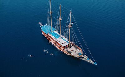 Guests swimming off the Thalassa | Bike & Boat Tour