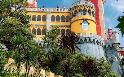 Palm trees around Pena Palace, Sintra, Portugal. Unsplash@Jean Carlo Emer