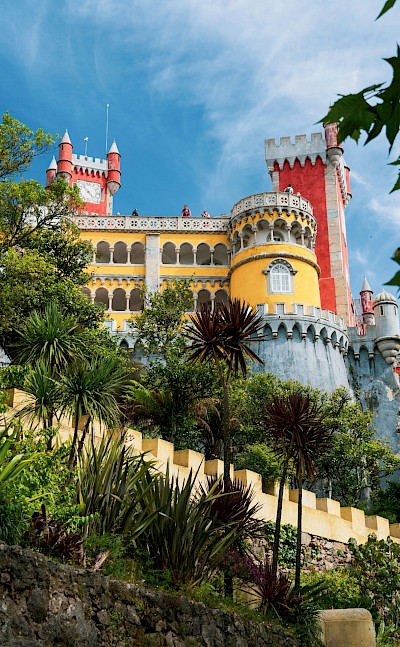 Palm trees around Pena Palace, Sintra, Portugal. Unsplash@Jean Carlo Emer