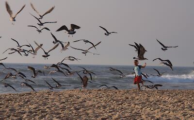 Praia de Mira, Portugal. Flickr:Oleg