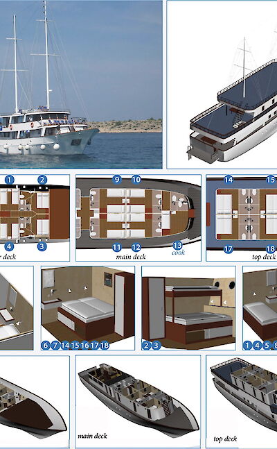 Deck levels and cabin types