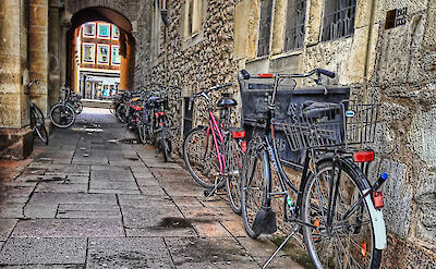 Biking through Münster, Germany. Flickr:xavi