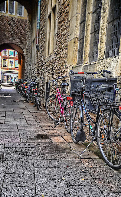 Biking through Münster, Germany. Flickr:xavi