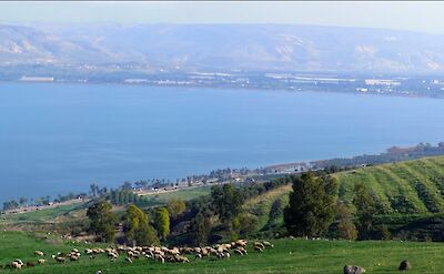 Sea of Galilee, Israel. Flickr:Larry Koester