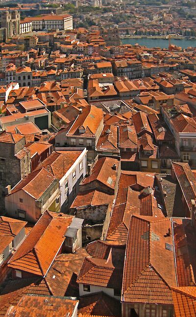 The red roofs of Porto on Douro River in Portugal. Flickr:Harshil Shah 