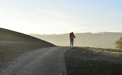 Traveller walking the Camino de Santiago, Spain. Unsplash:Jorge Luis Ojeda Flota