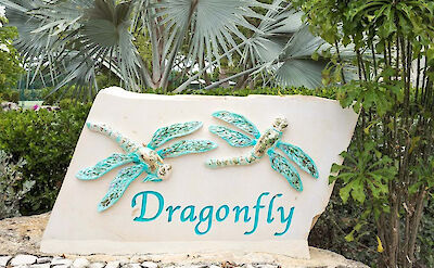 Jbi Pr Dragonfly Housesign