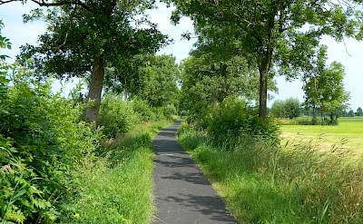 Quiet bike paths everywhere in Holland! Flickr:Ruben Holthuijzen