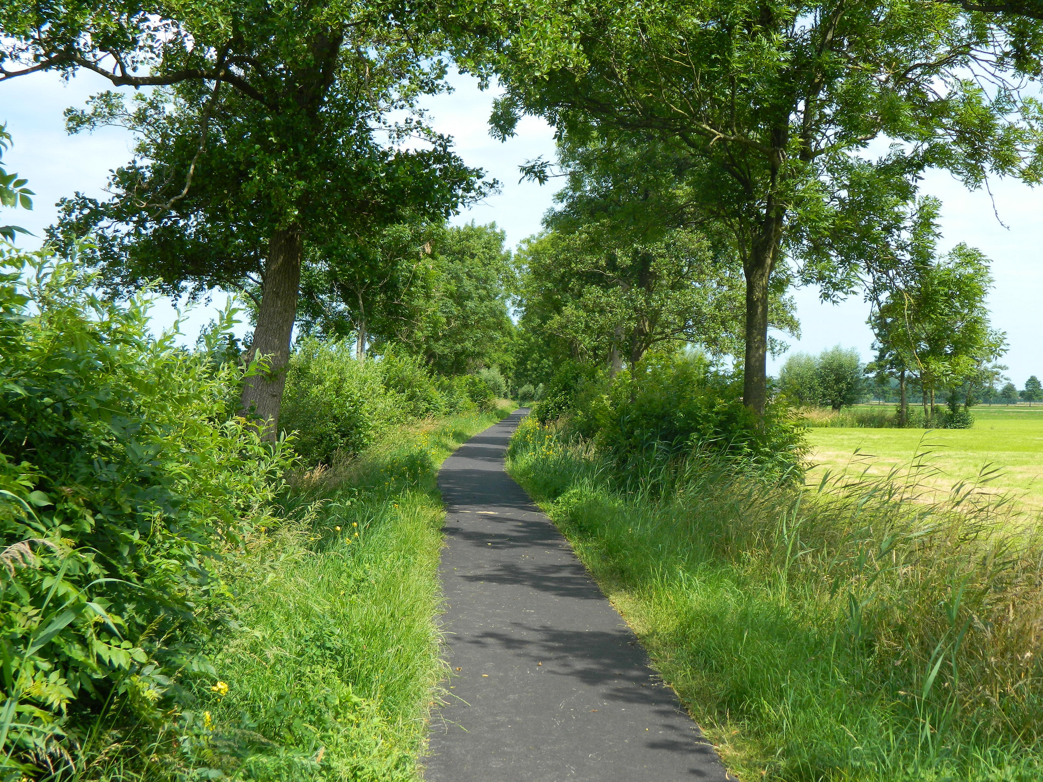 Townhouse for Rent Barneveld, Netherlands