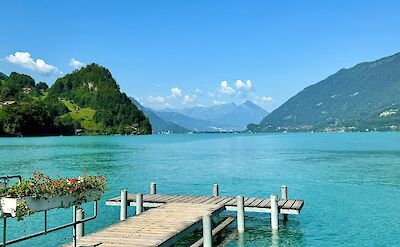 Flowers on the lake boardwalk in Iseltwald, Switzerland. Unsplash@Lisa Shauma