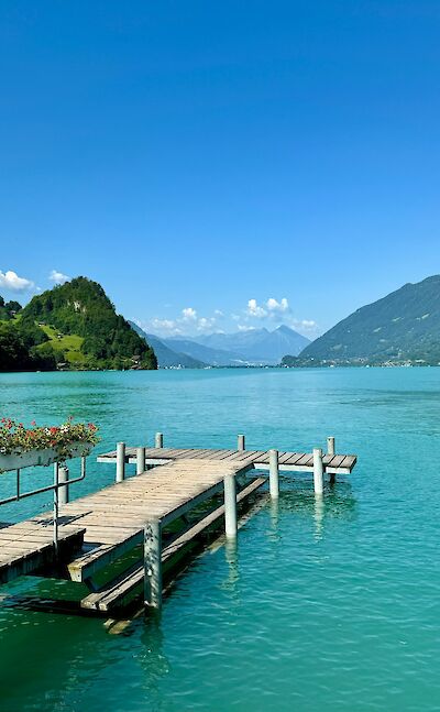 Flowers on the lake boardwalk in Iseltwald, Switzerland. Unsplash@Lisa Shauma