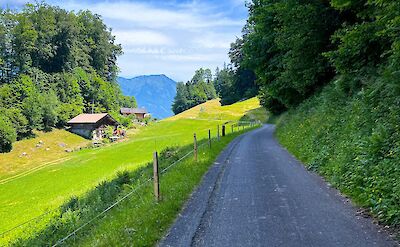 Roads around Iseltwald, Switzerland. Unsplash@Tulin Yucel