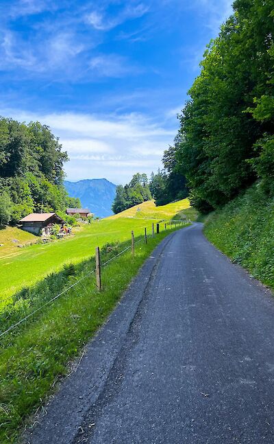 Roads around Iseltwald, Switzerland. Unsplash@Tulin Yucel