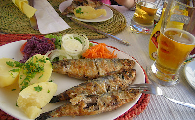 Fresh fish in Cape St. Vincent, Portugal. Photo via Flickr:Bartek Lingas