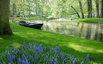 Beautiful Keukenhof in the Netherlands. Flickr:Borkur Sigur Bjornsson 52.27031, 4.546355