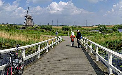 The famous windmills of Kinderdijk.