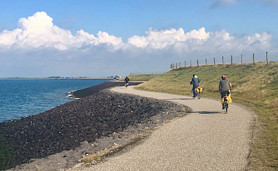 Biking the North Sea in the Amsterdam to Bruges Bike Tour. Photo by Regina Losinger