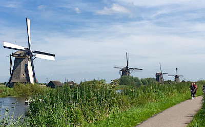 Windmills and bike paths on the Amsterdam to Bruges Bike Tour. Photo by Regina Losinger