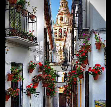 White architecture in Cordoba, Spain. Photo via Flickr:Luis Irisarri