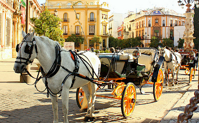 Horse-drawn carriages outside Seville Cathedral on Plaza Virgen de Los Reyes, Sevilla, Spain. Flickr:Jess R.