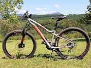 Silverback Splash: XS