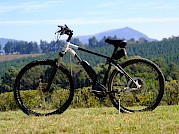 Silverback Ebike: L and XL