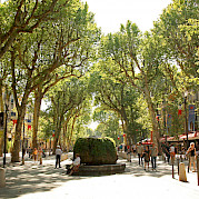 Avignon to Cassis Photo