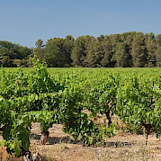 Avignon to Cassis Photo