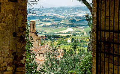 Biking through the vineyards of Tuscany, Italy. Photo via Flickr:PapaPiper