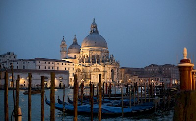 Venice illuminated, Italy. Unsplash@Jerome Maas