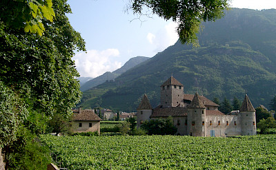 Castle Maretsch among vineyards in Bolzano, Italy. Photo from Wikimedia Commons:Alex1011
