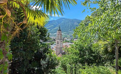 Clocktower viewed through the foliage in Merano, Italy. Unsplash@David