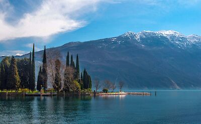 A row of slender cypress trees on the shore of Lake Garda, Italy. Unsplash@Julia Boiun