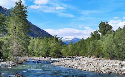 Forested valley near Lake Garda and the Adige River, Italy. Unsplash@Andrea Pasquali