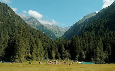 Green fields and the Dolomites outside Trento, Italy. Unsplash@Niccolo di Somma