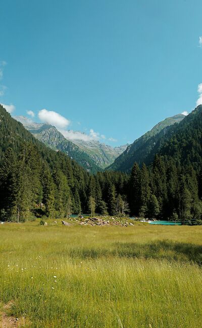 Green fields and the Dolomites outside Trento, Italy. Unsplash@Niccolo di Somma