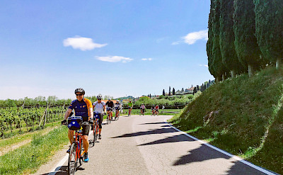 Cycling the Bolzano to Venice Bike Tour.