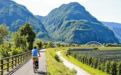Cycling the Bolzano to Verona Italy Bike Tour. ©Photo via TO 46.429486, 11.339426