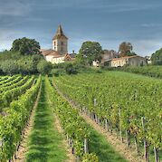 Bordeaux Wine Country - Wine region of Blaye along the River Gironde. CC:michael clarke stuff 45.126978, -0.663244