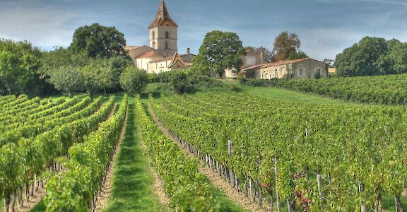 Wine region of Blaye along the River Gironde. CC:michael clarke stuff 45.126978, -0.663244