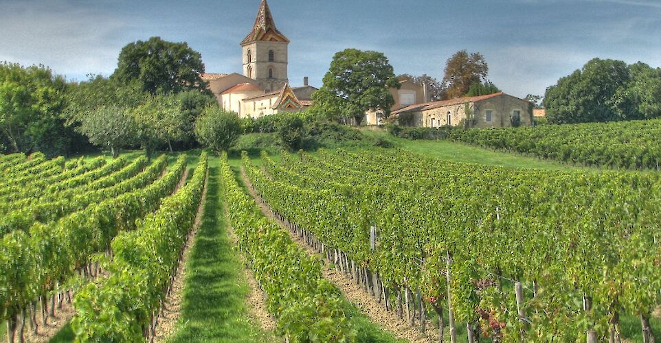 Wine region of Blaye along the River Gironde. CC:michael clarke stuff 